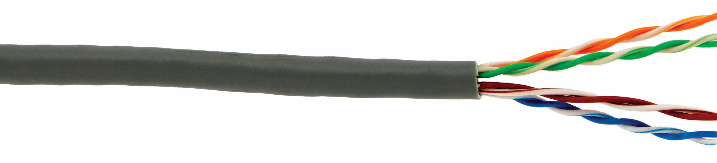 D-Link Cat6 UTP Network Cable